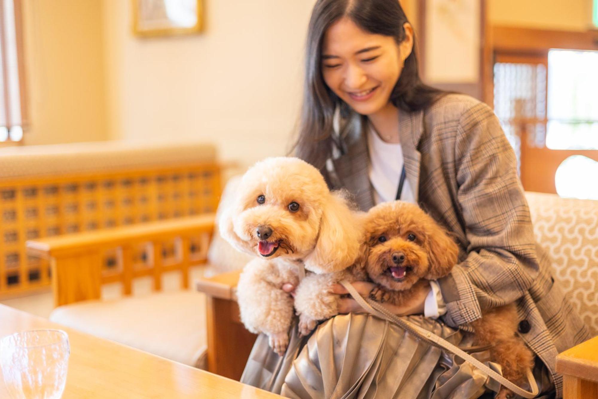 ホテル 小松家八の坊 伊豆の国市 エクステリア 写真