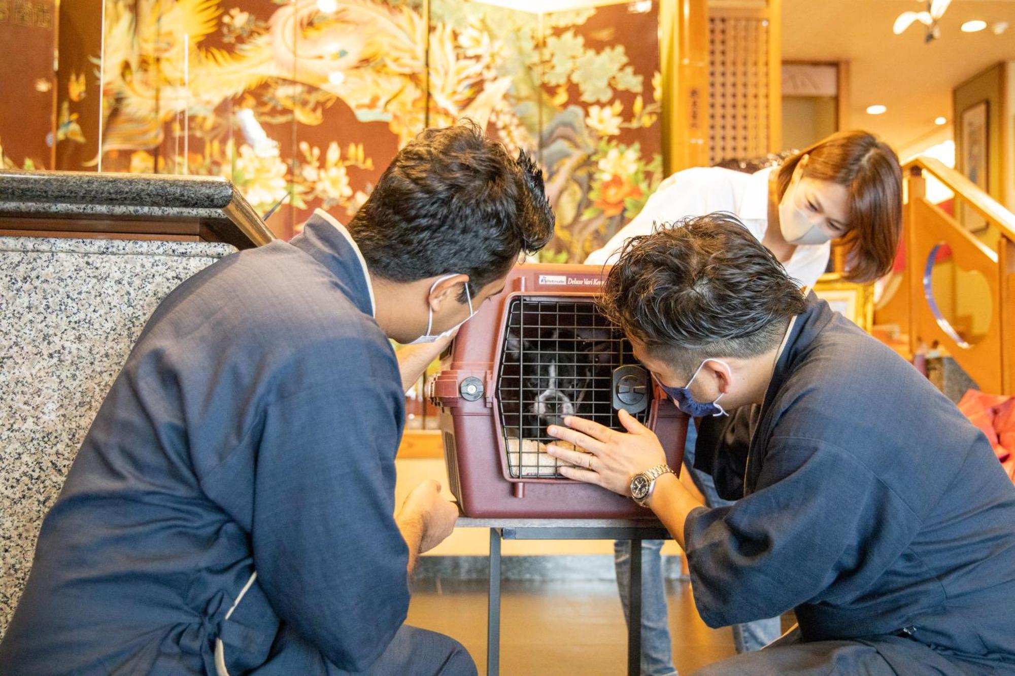 ホテル 小松家八の坊 伊豆の国市 エクステリア 写真