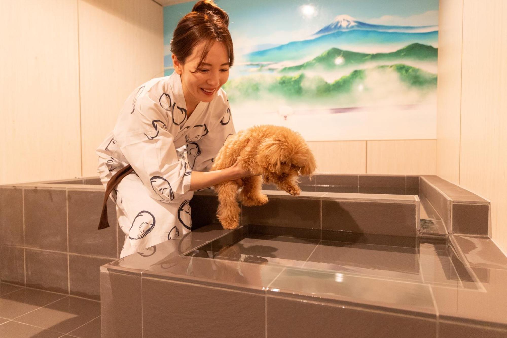 ホテル 小松家八の坊 伊豆の国市 エクステリア 写真