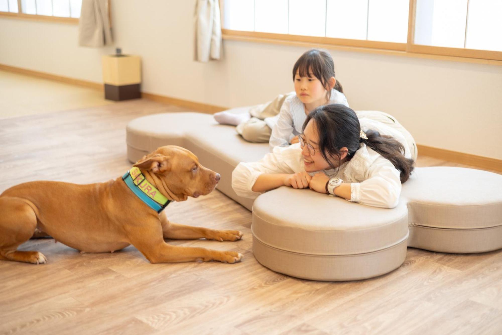 ホテル 小松家八の坊 伊豆の国市 エクステリア 写真